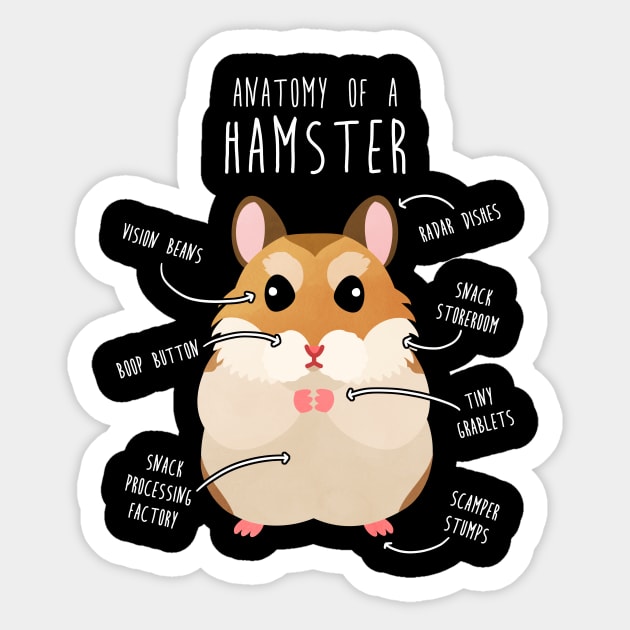 Roborovski Dwarf Hamster Anatomy Sticker by Psitta